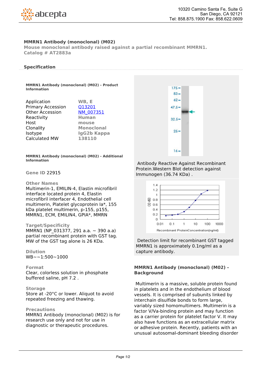 MMRN1 Antibody (Monoclonal) (M02) Mouse Monoclonal Antibody Raised Against a Partial Recombinant MMRN1