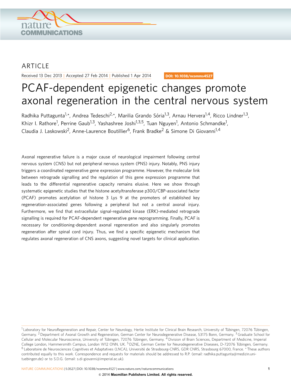 PCAF-Dependent Epigenetic Changes Promote Axonal Regeneration in the Central Nervous System