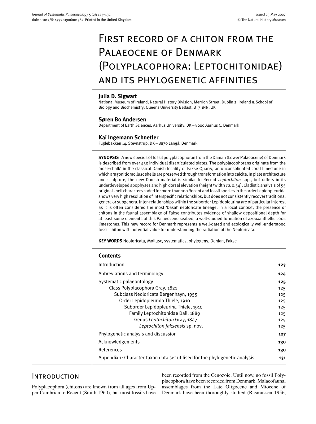 (Polyplacophora: Leptochitonidae) and Its Phylogenetic Afﬁnities