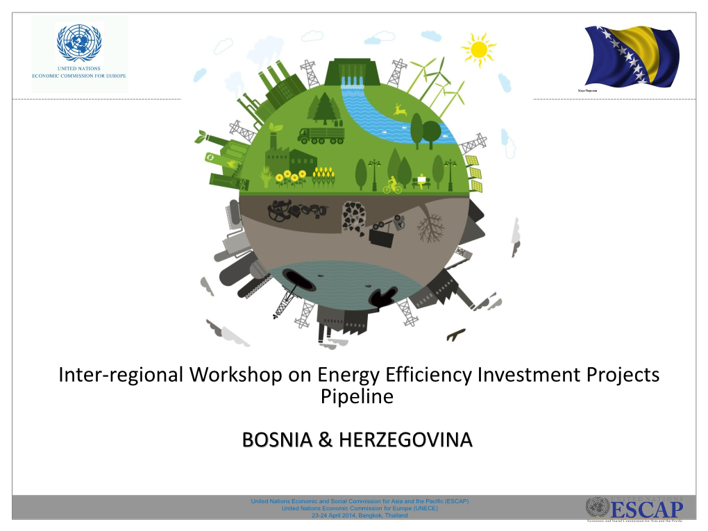 Sistem Toplifikacije Grada Livno Sa Postrojenjem Na Biomasu