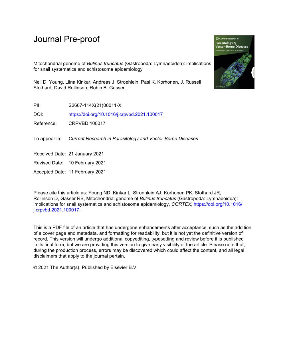 Mitochondrial Genome of Bulinus Truncatus (Gastropoda: Lymnaeoidea): Implications for Snail Systematics and Schistosome Epidemiology