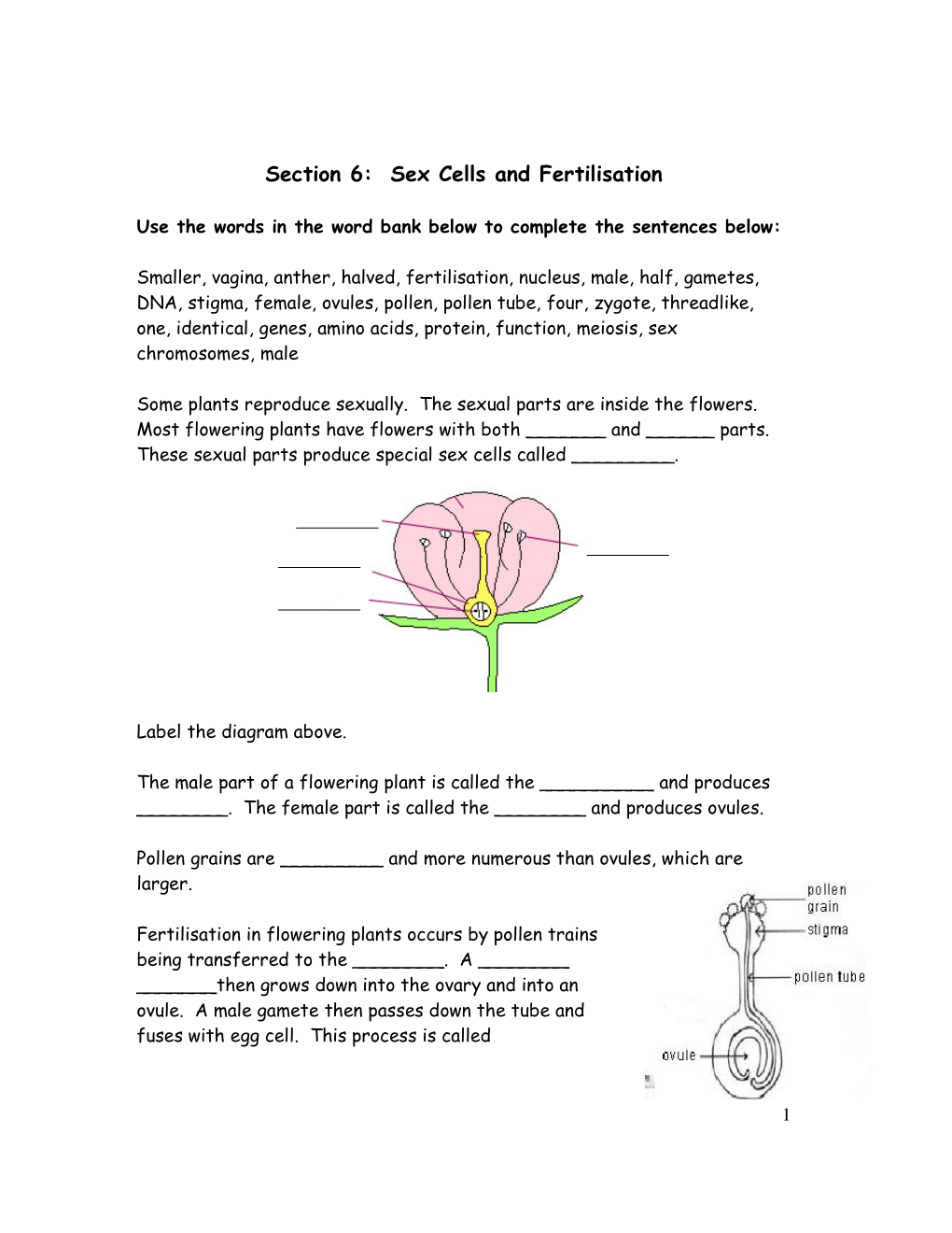 Section 6: Sex Cells and Fertilisation