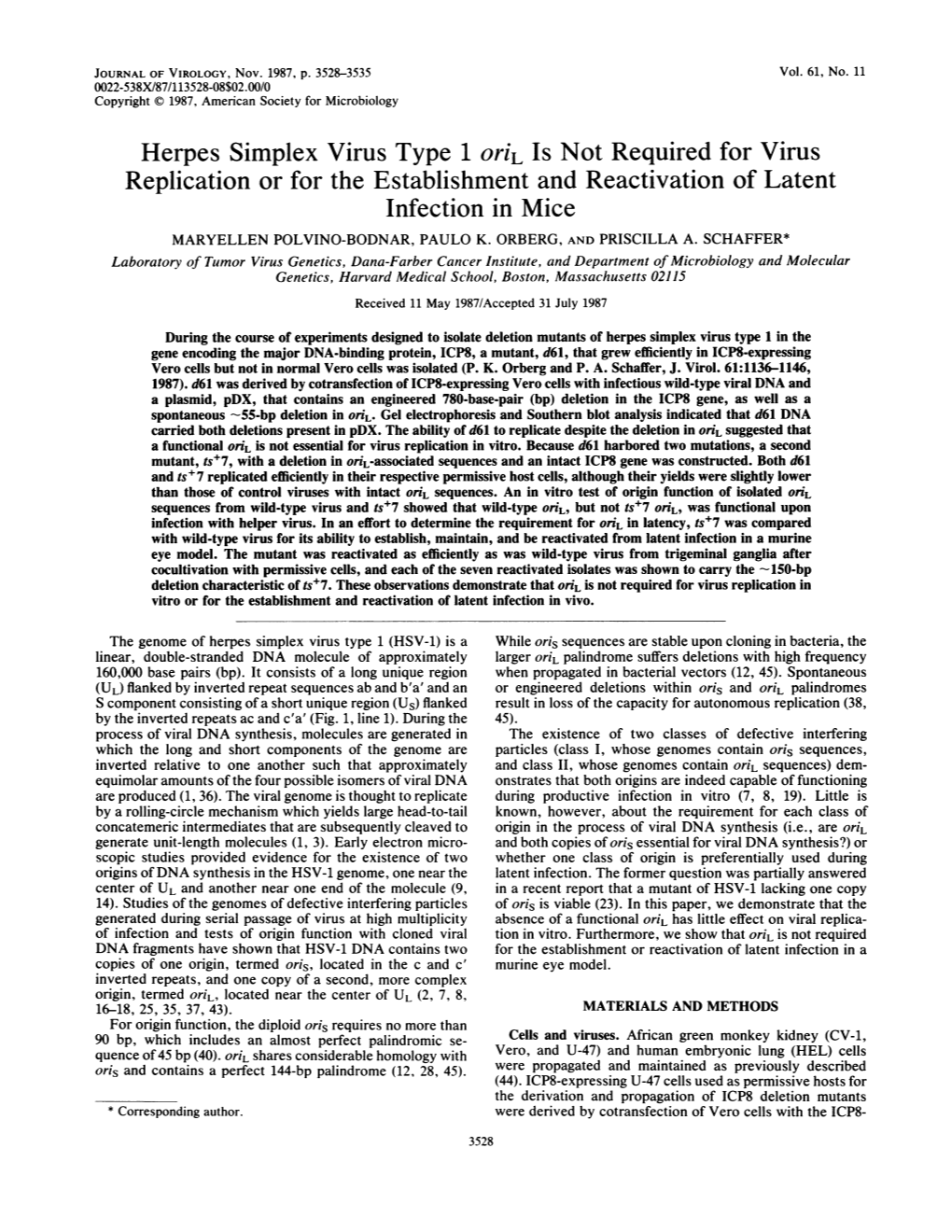 Herpes Simplex Virus Type 1 Oril Is Not Required for Virus Infection In