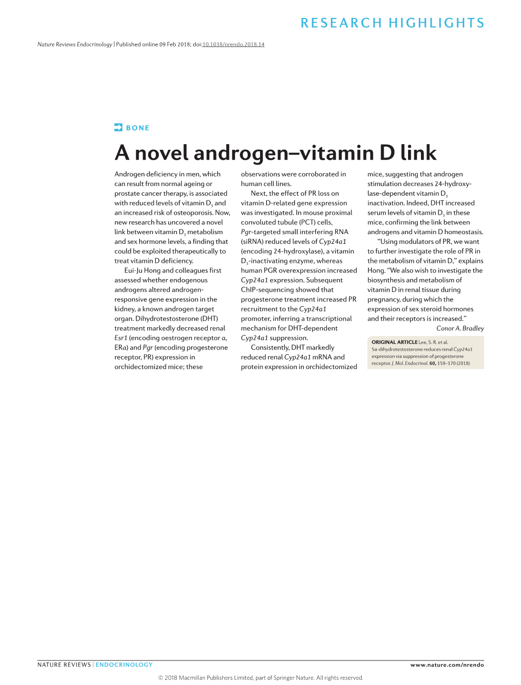 A Novel Androgen–Vitamin D Link