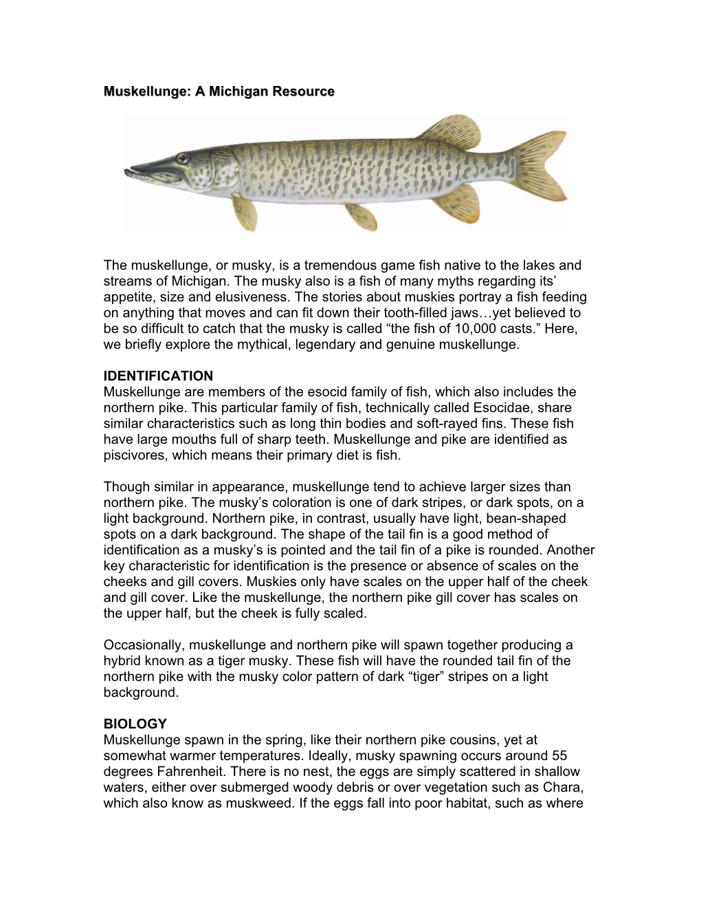 Muskellunge: a Michigan Resource