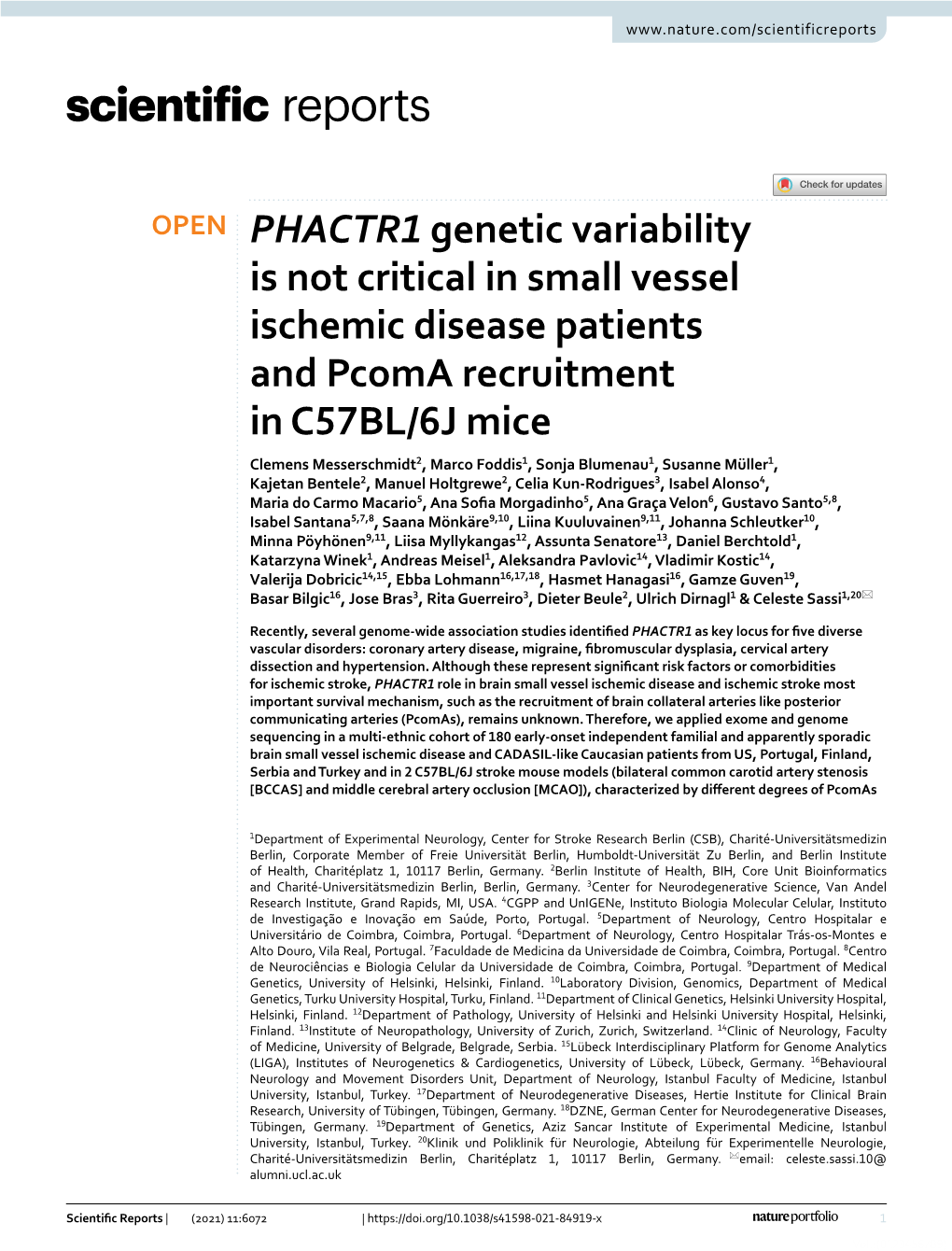 PHACTR1 Genetic Variability Is Not Critical in Small Vessel Ischemic