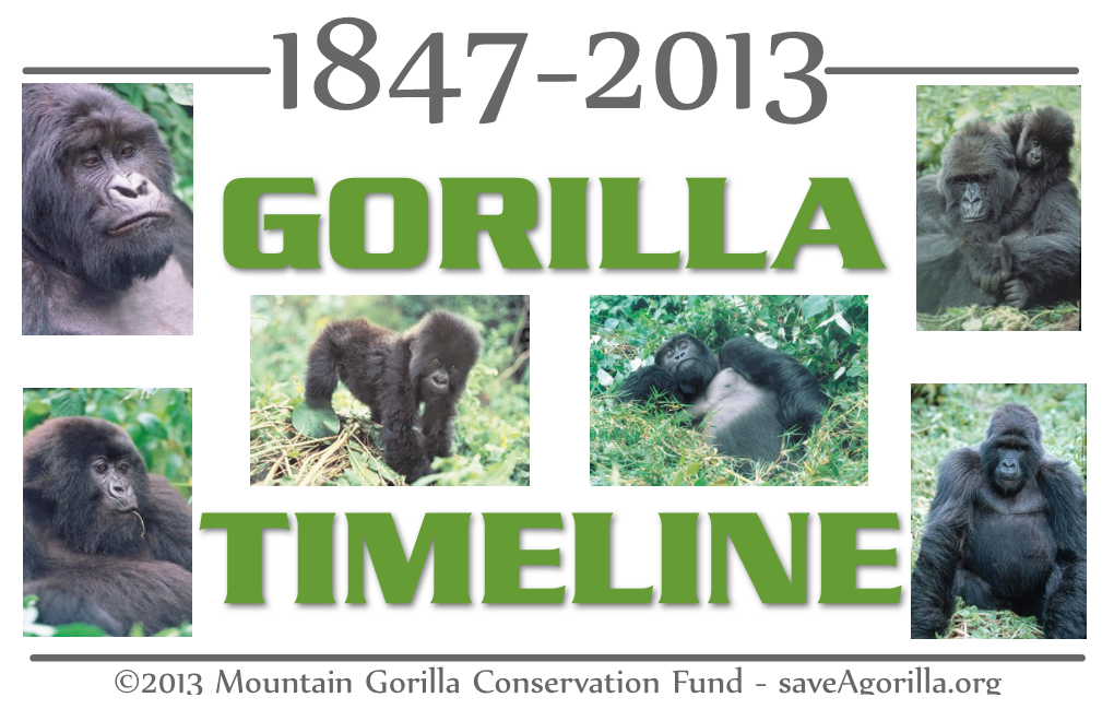 ©2013 Mountain Gorilla Conservation Fund - Saveagorilla.Org 1847 Thomas Savage Discovers a Gorilla Skull and Recognizes It As a New Species