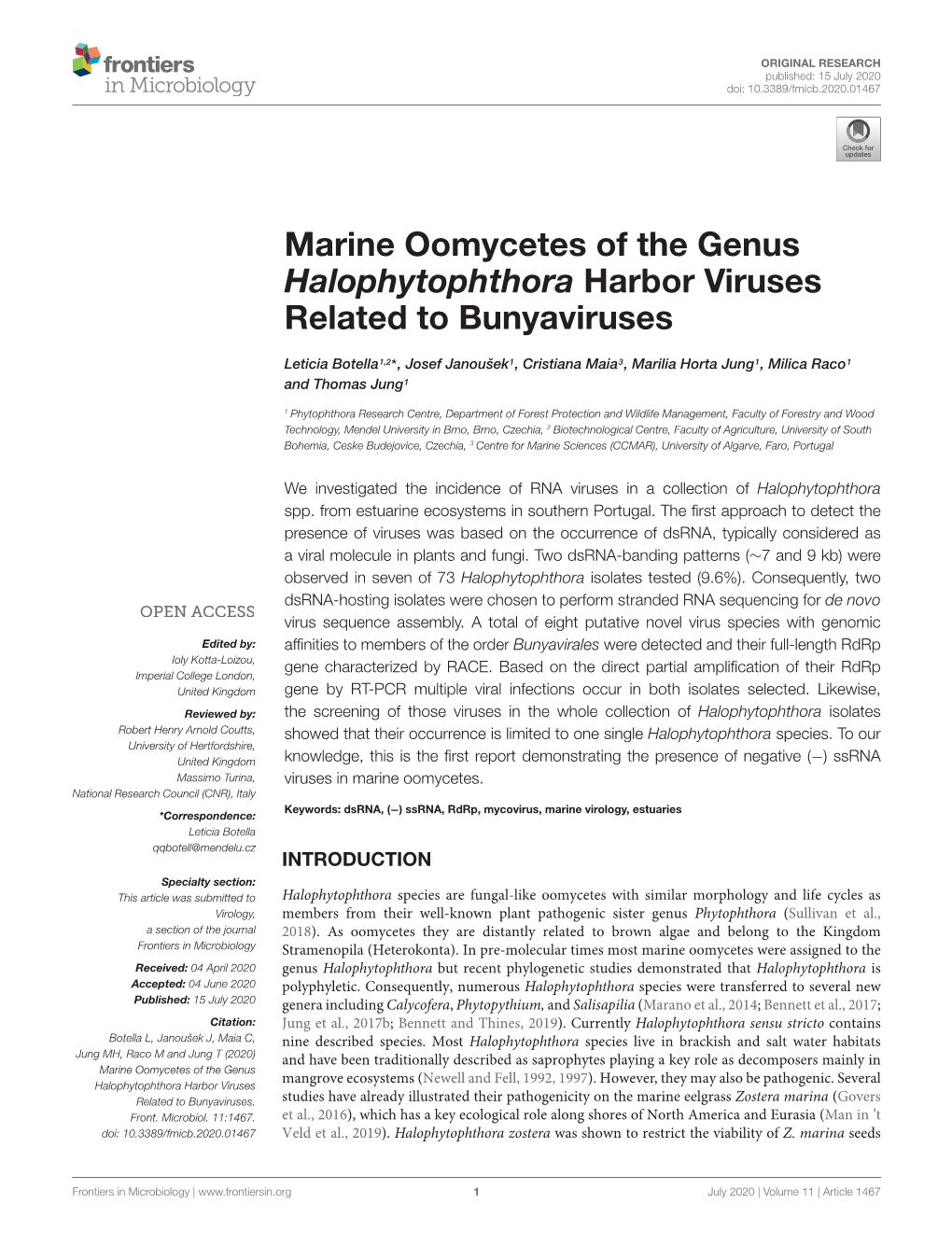 Marine Oomycetes of the Genus Halophytophthora Harbor Viruses Related to Bunyaviruses