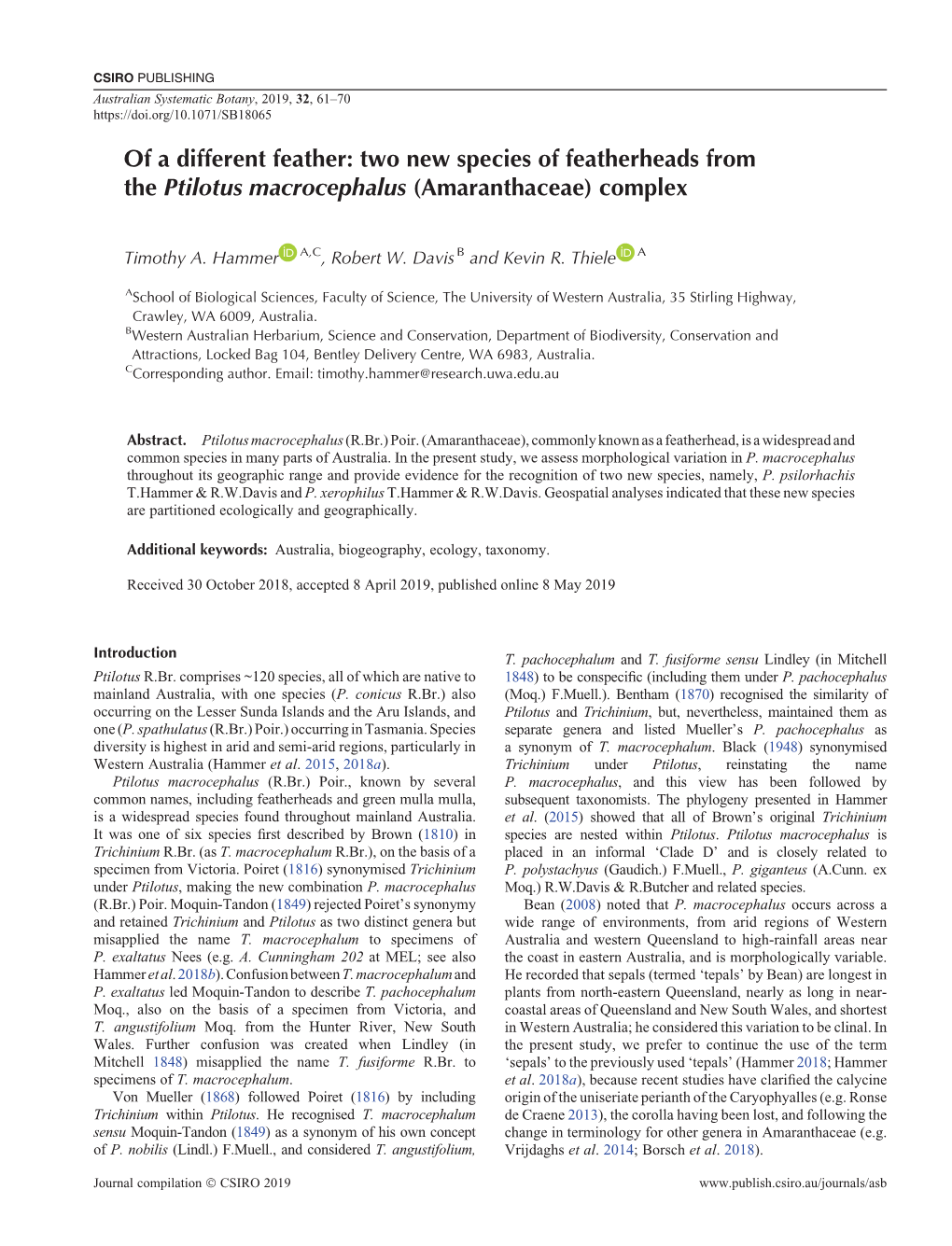 Of a Different Feather: Two New Species of Featherheads from the Ptilotus Macrocephalus (Amaranthaceae) Complex