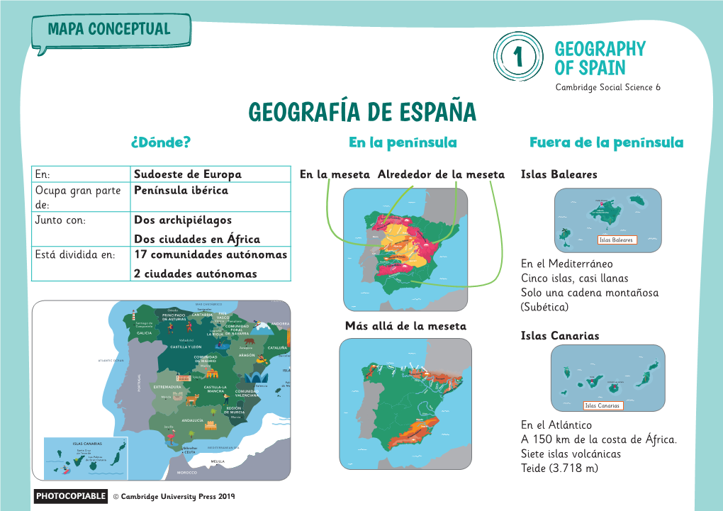 Mapas Conceptuales