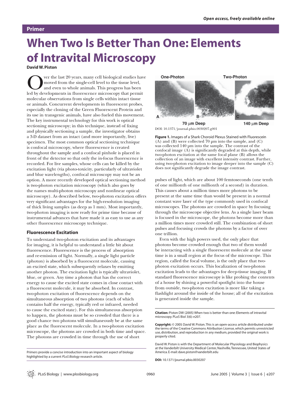 When Two Is Better Than One: Elements of Intravital Microscopy David W