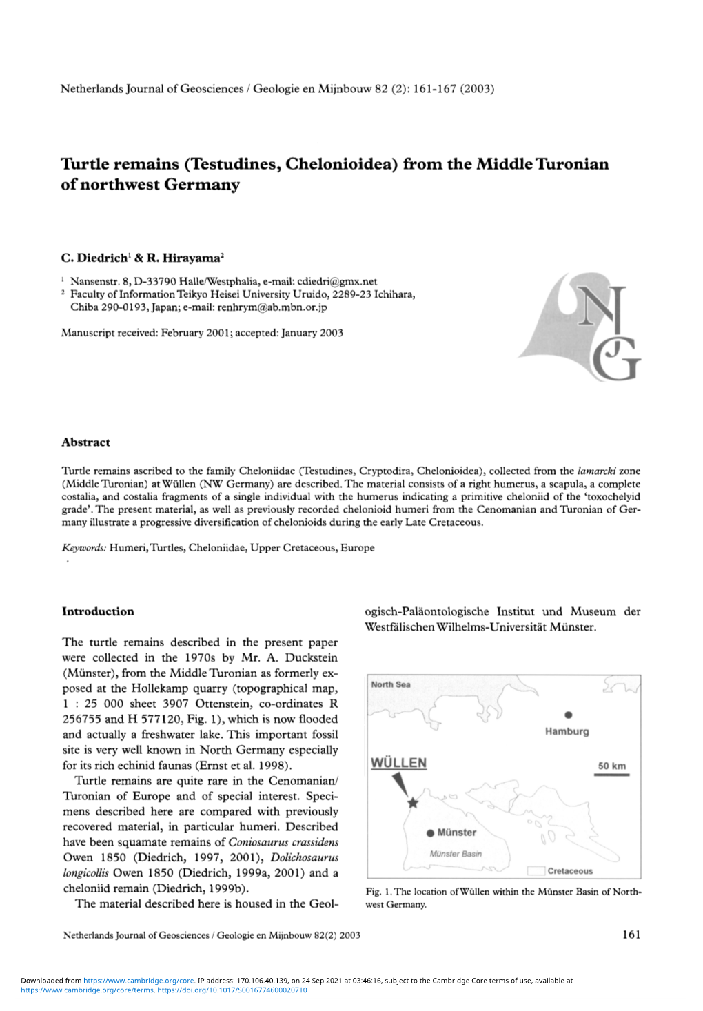 Testudines, Chelonioidea) from the Middle Turonian of Northwest Germany