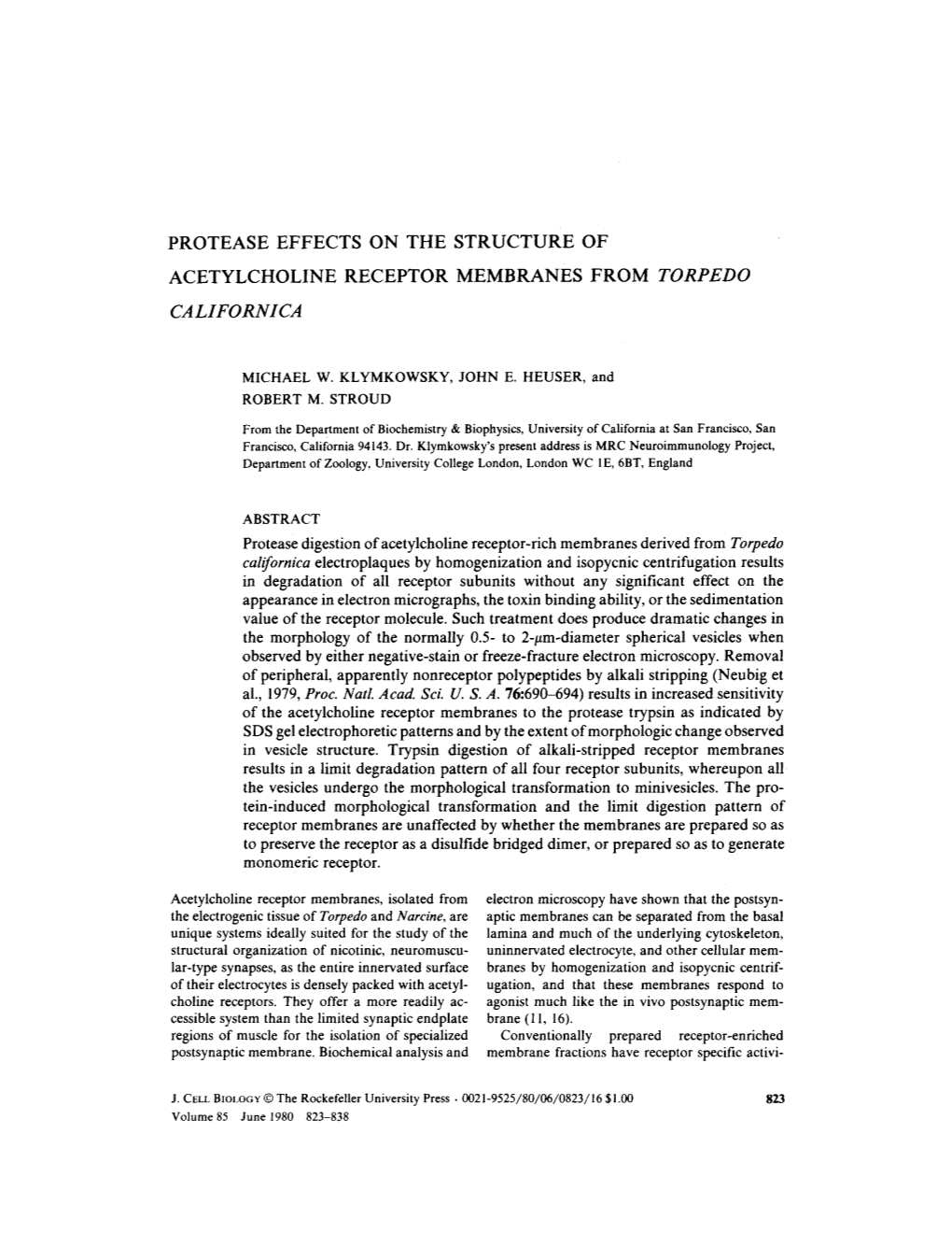 Protease Effects on the Structure of Acetylcholine Receptor Membranes from Torpedo Californica