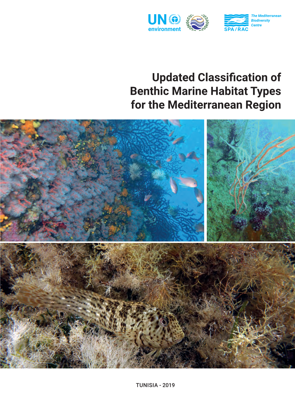 Updated Classification of Benthic Marine Habitat Types for The