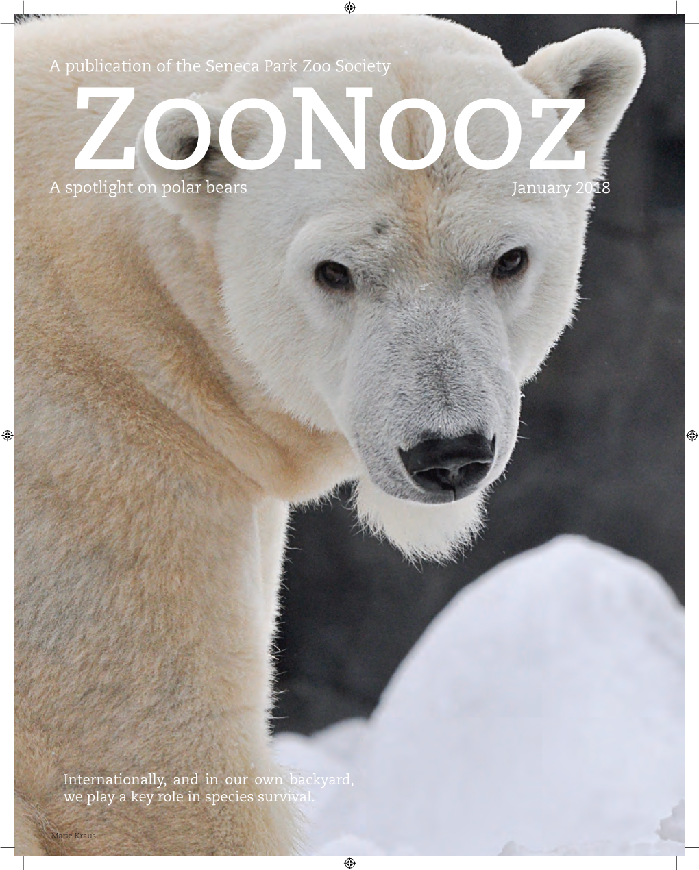 A Publication of the Seneca Park Zoo Society January 2018 a Spotlight On