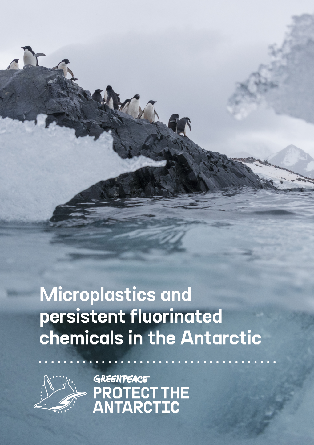 Microplastics and Persistent Fluorinated Chemicals in the Antarctic 2