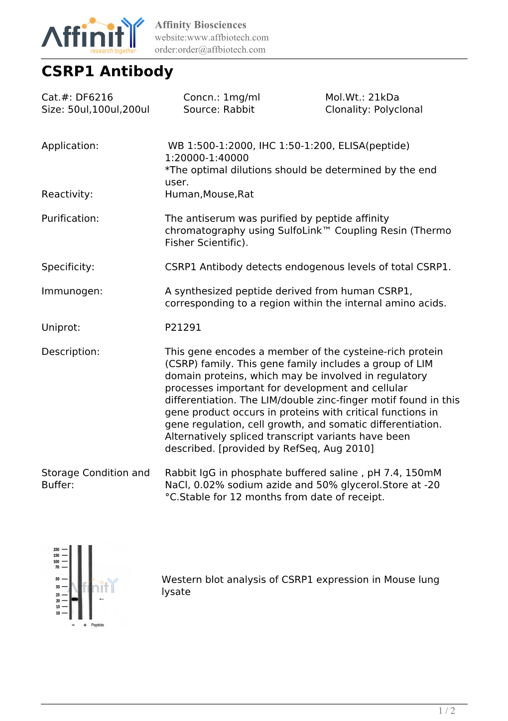DF6216-CSRP1 Antibody