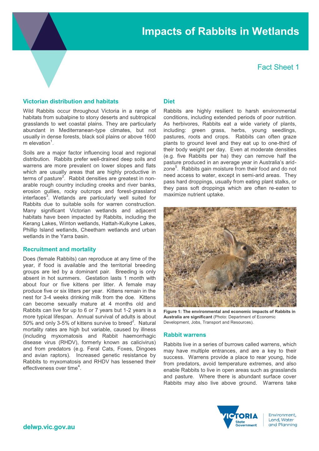 Impacts of Rabbits in Wetlands