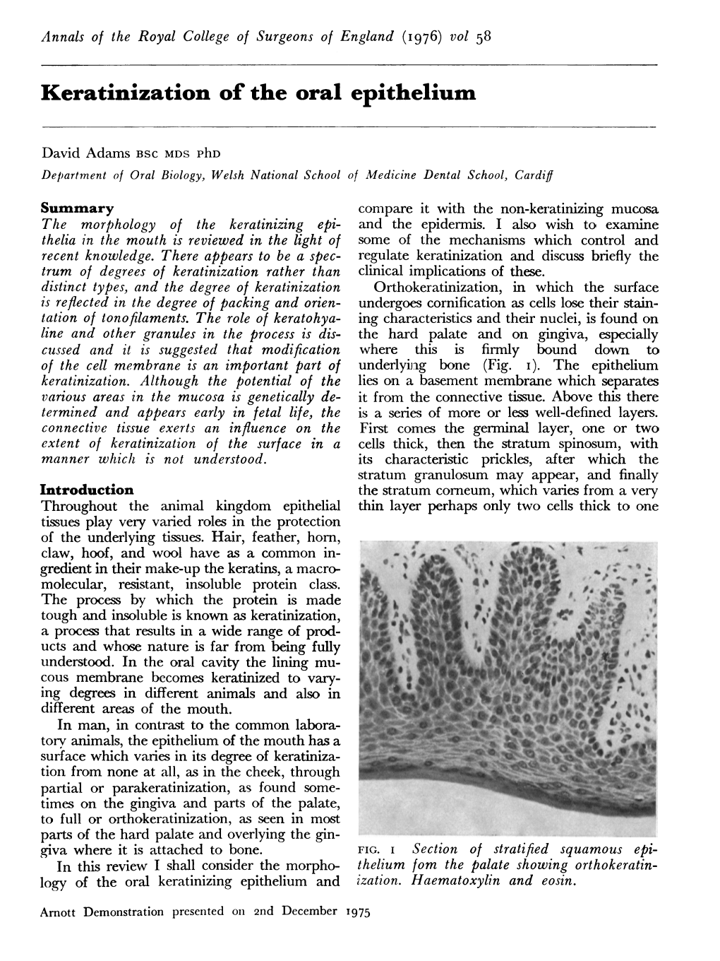 Keratinization of the Oral Epithelium