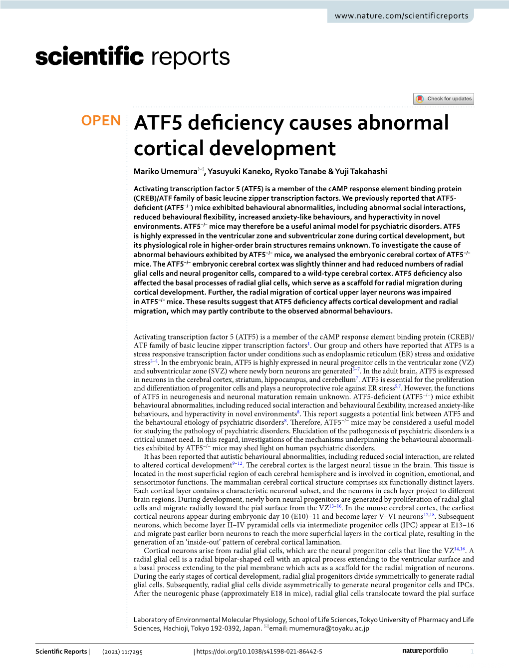 ATF5 Deficiency Causes Abnormal Cortical Development