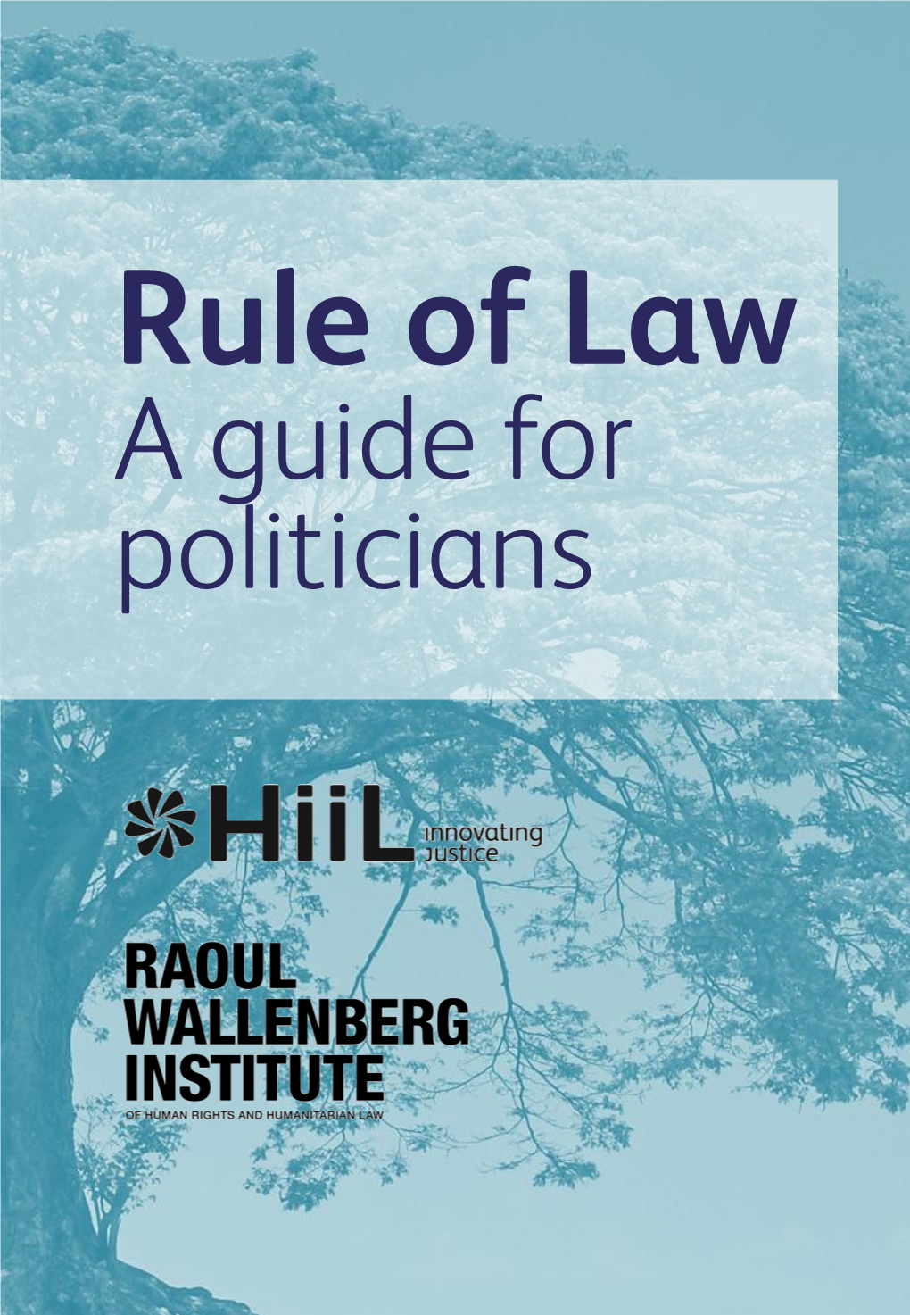 Rule of Law Guide for Politicians
