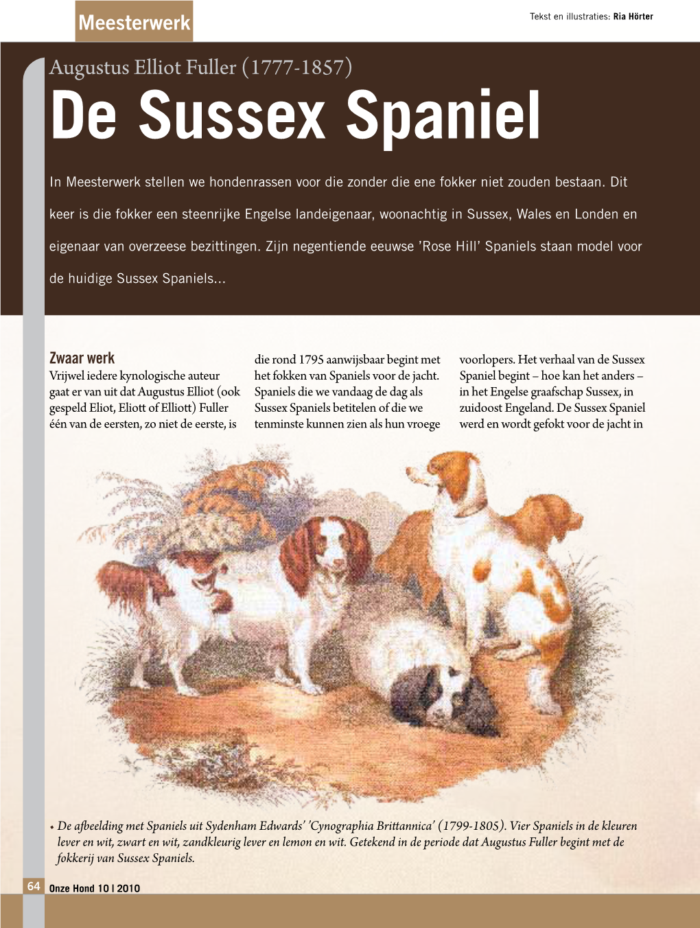 De Sussex Spaniel