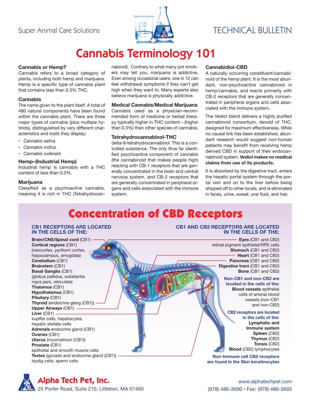 Cannabis Terminology 101