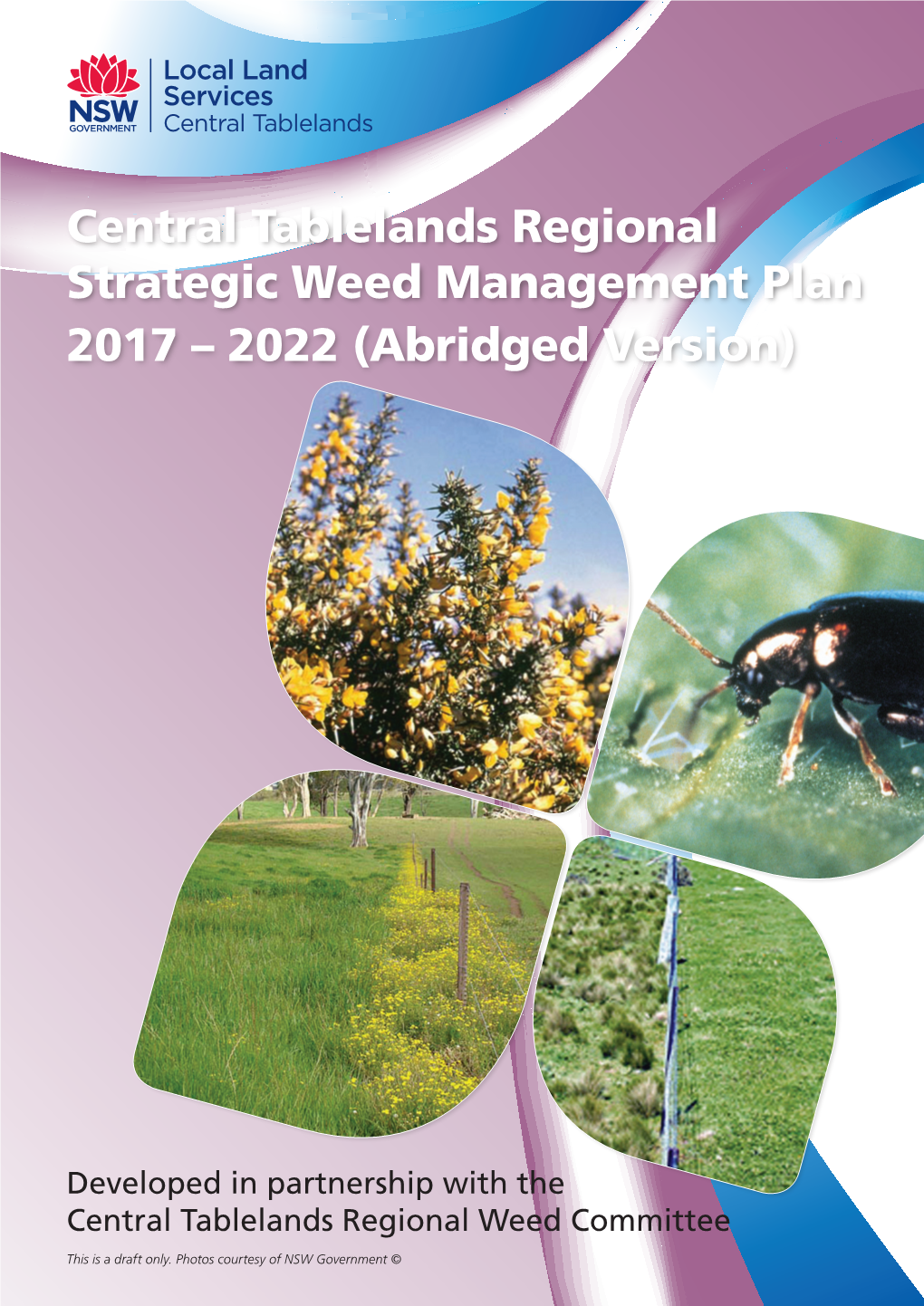 Central Tablelands Regional Strategic Weed Management Plan 2017-2022