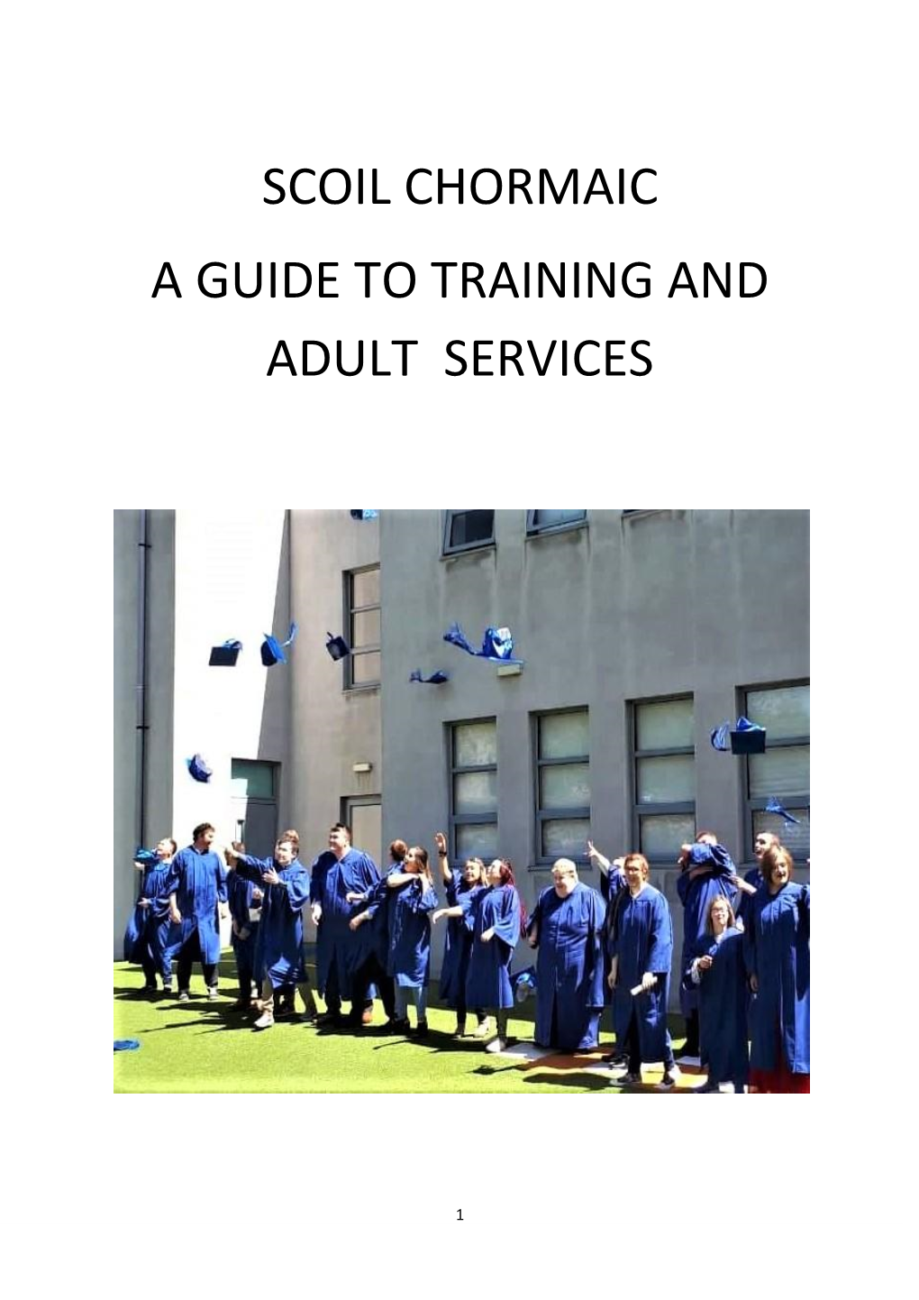 Scoil Chormaic a Guide to Training and Adult Services