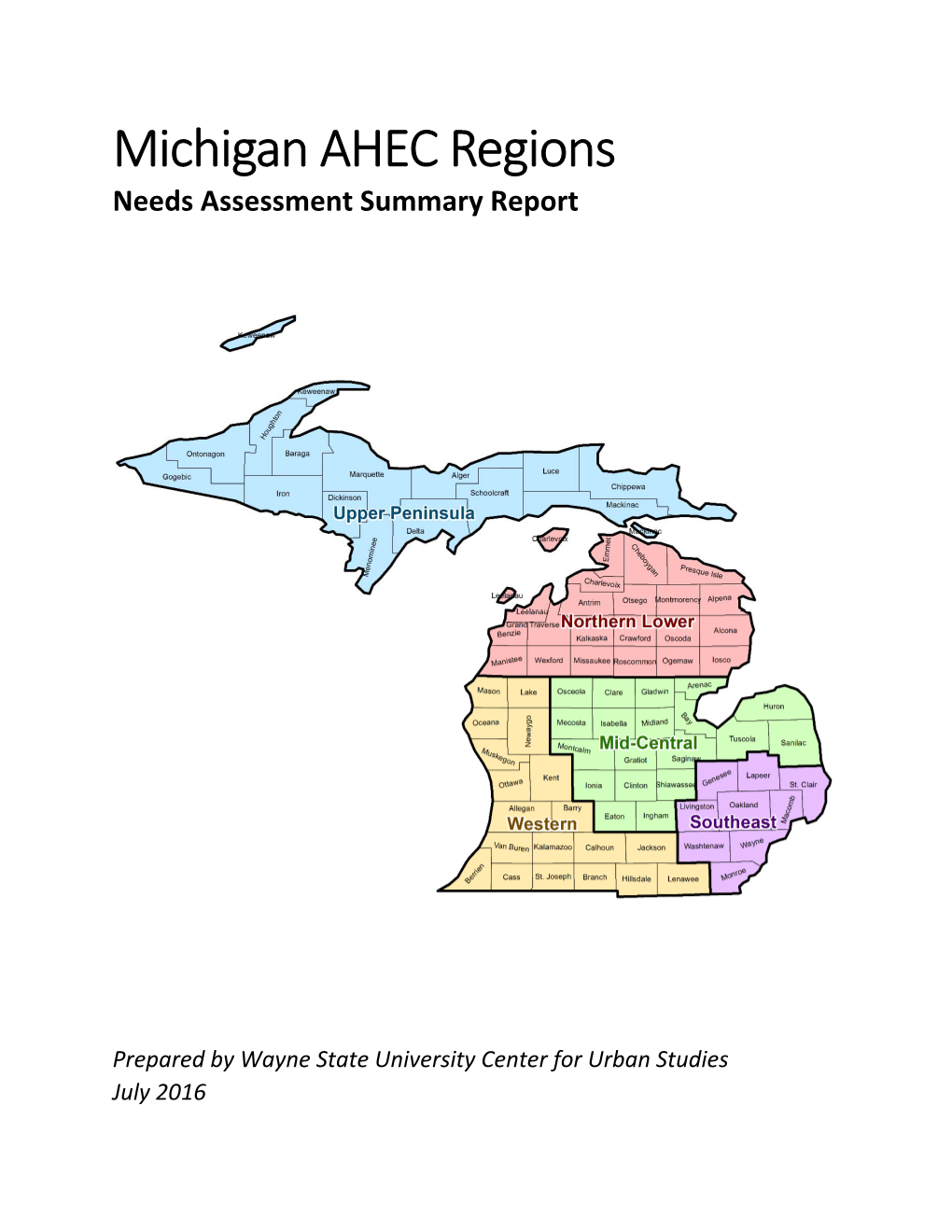 Michigan AHEC Regions Needs Assessment Summary Report