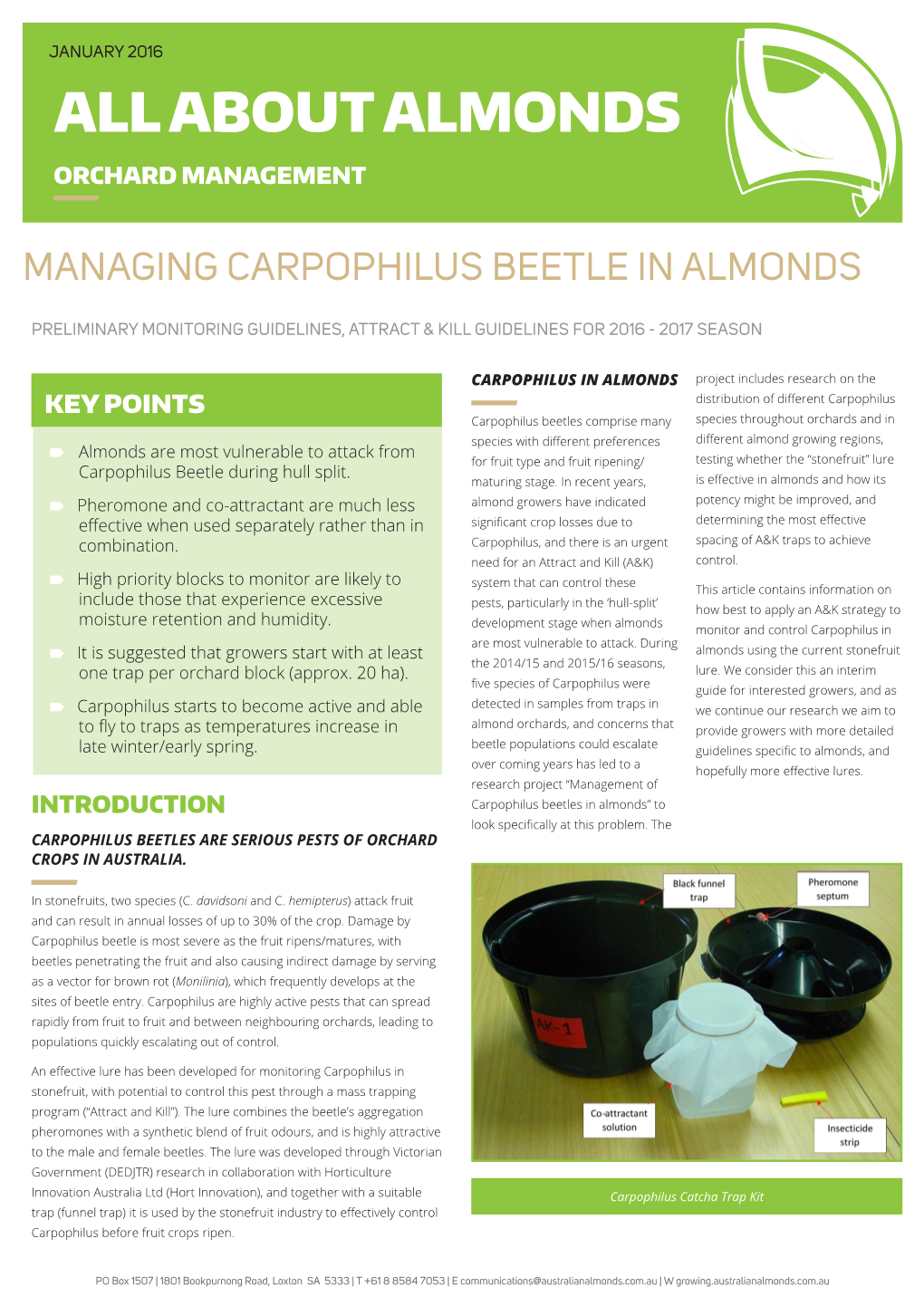 Managing Carpophilus Beetle in Almonds