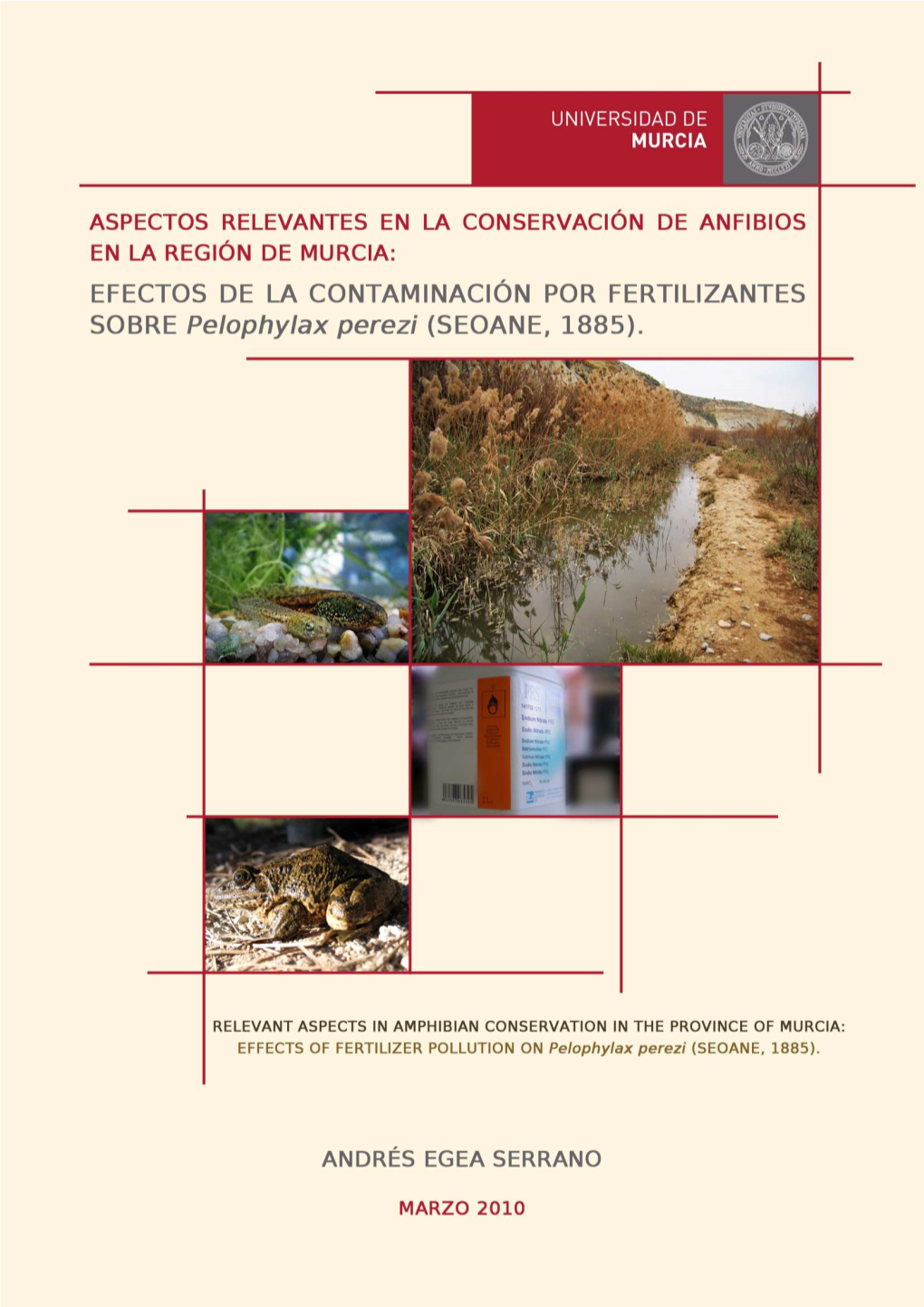 Efectos De La Contaminación Por Fertilizantes Sobre Pelophylax Perezi (Seoane, 1885)