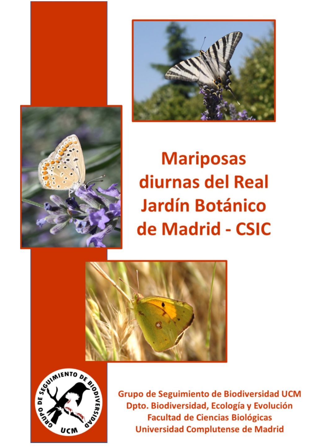 3 Informe Sobre Las Mariposas Diurnas En Los