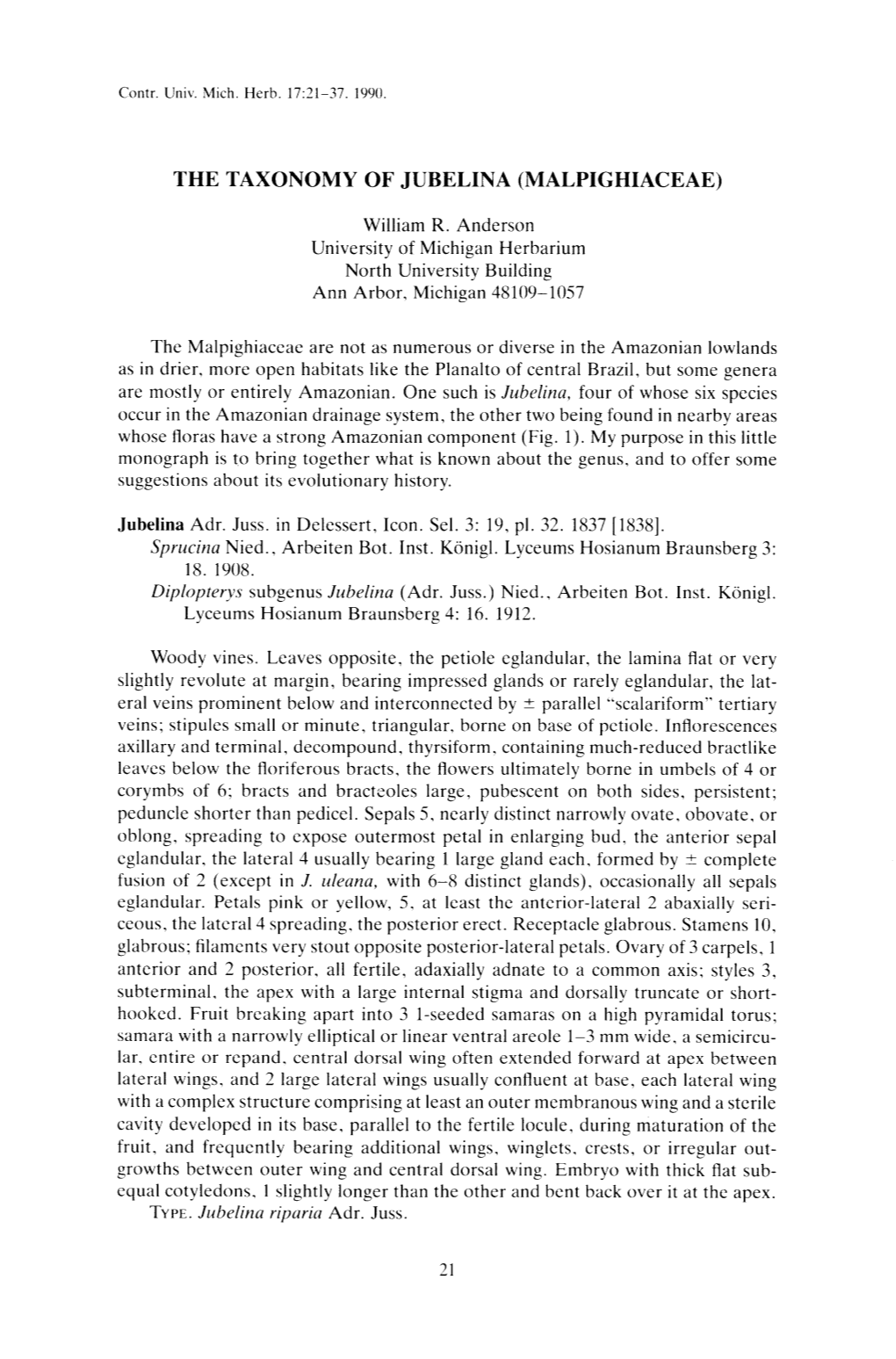 The Taxonomy of Jubelina (Malpighiaceae)