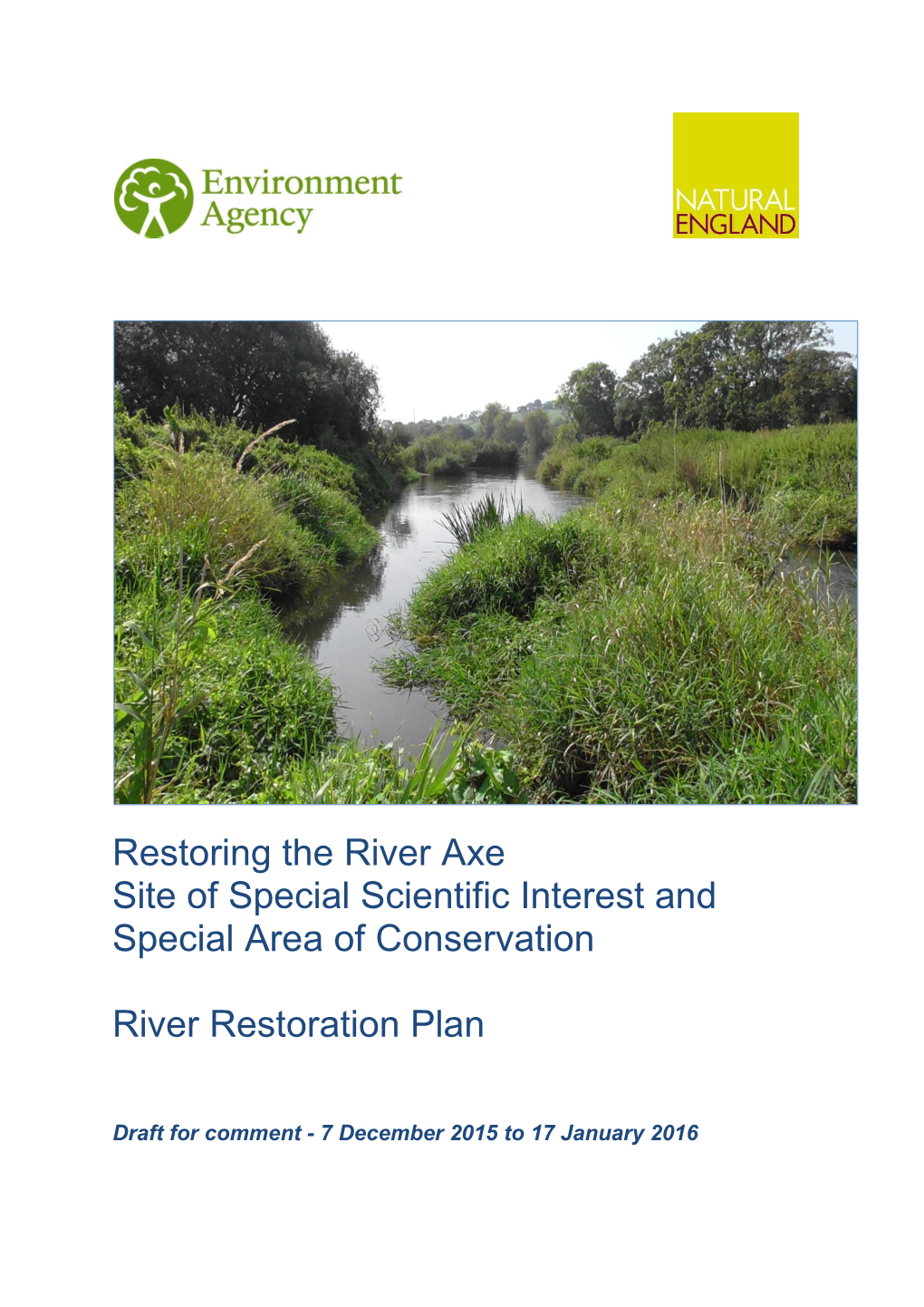River Axe Draft Restoration Plan