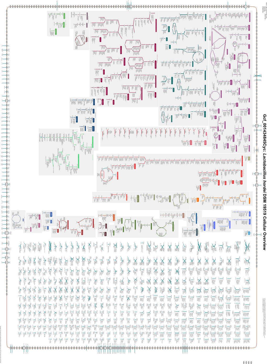 Generated by SRI International Pathway Tools Version 25.0, Authors S