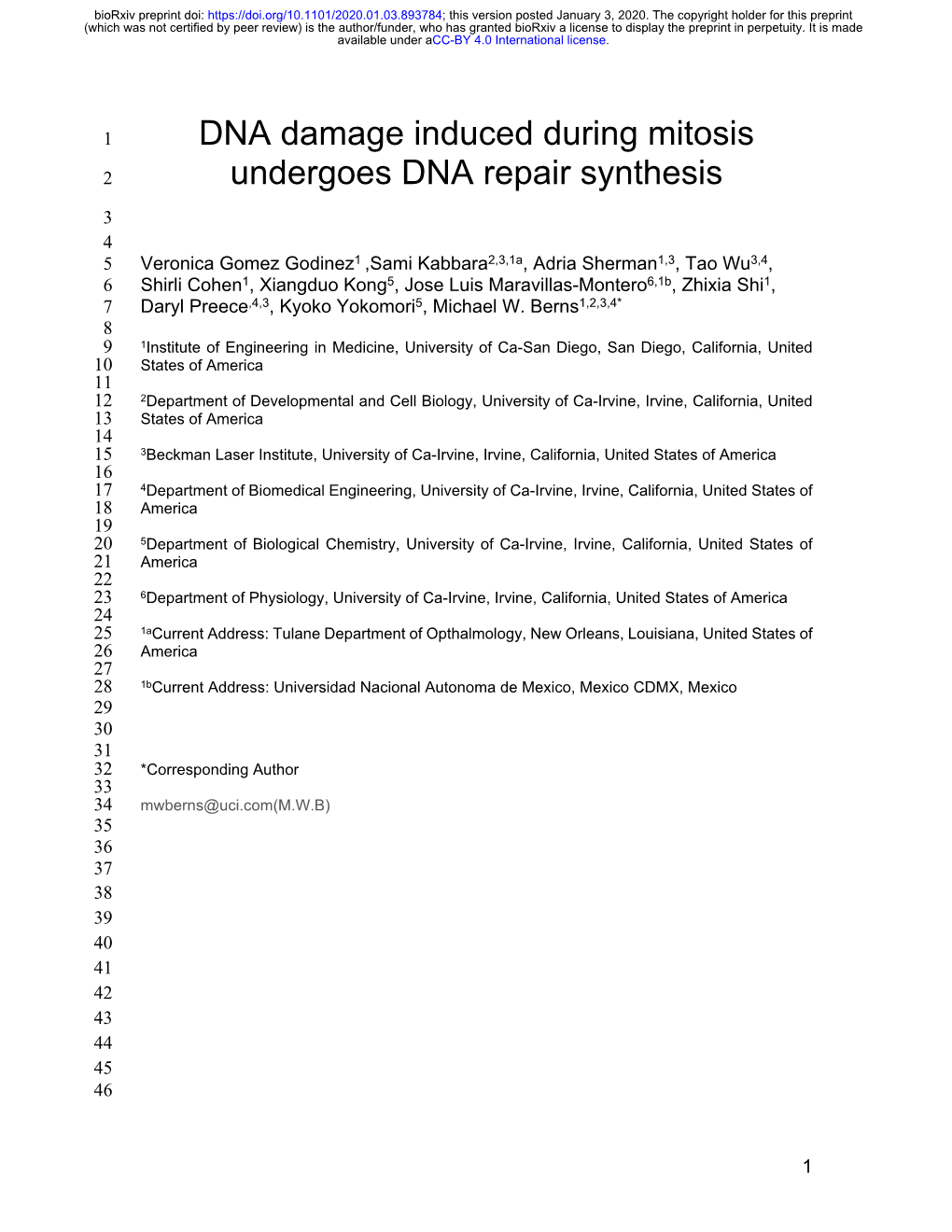 DNA Damage Induced During Mitosis Undergoes DNA Repair