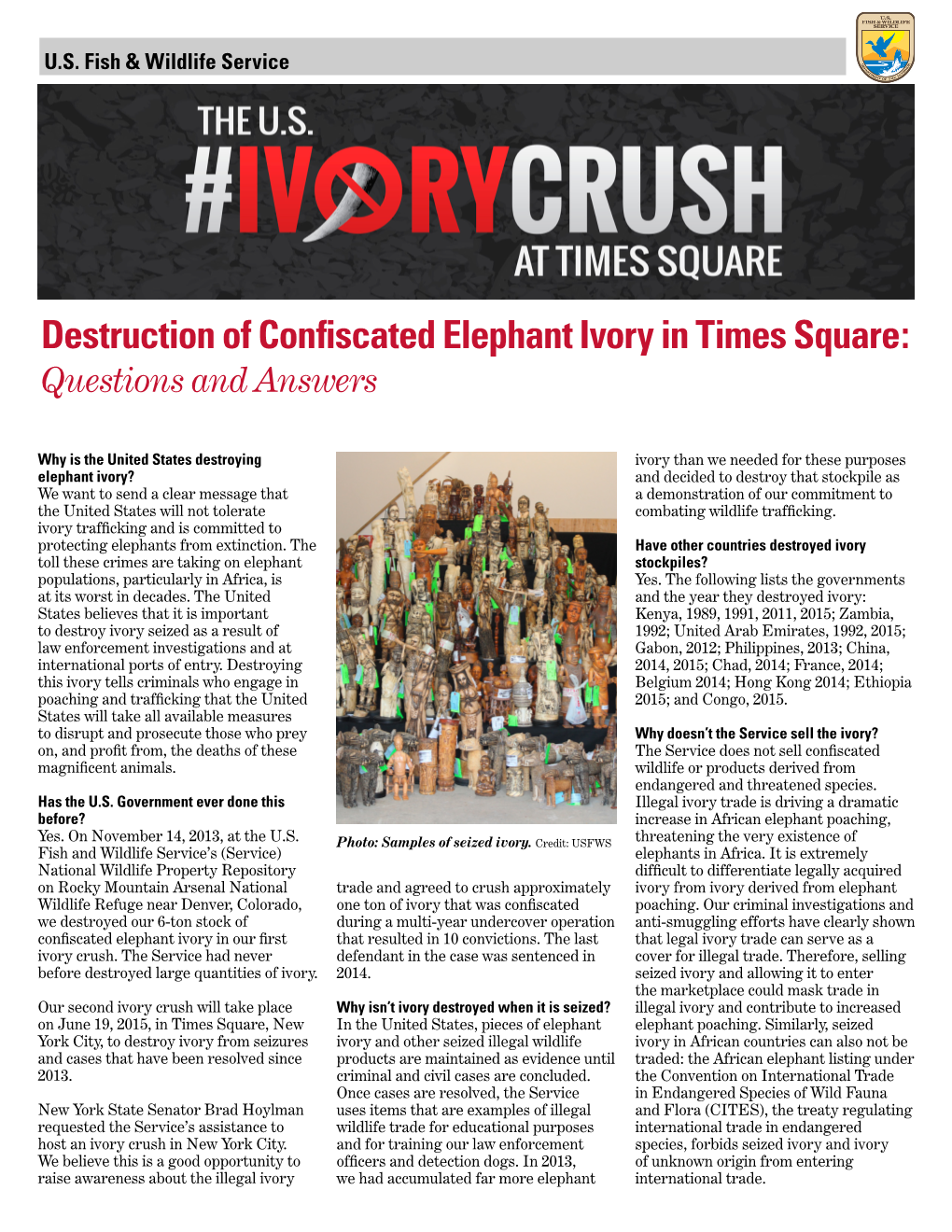 Destruction of Confiscated Elephant Ivory in Times Square: Questions and Answers