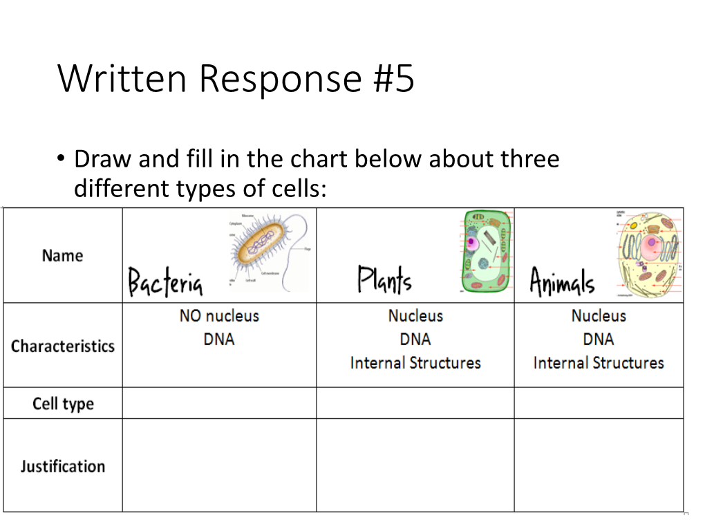 Written Response #5