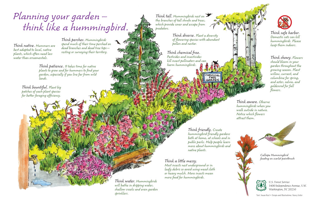 Poster-Native Plants for Hummingbirds