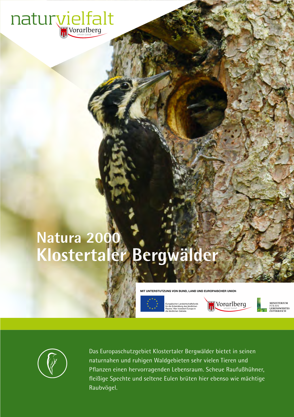 Natura 2000 Klostertaler Bergwälder