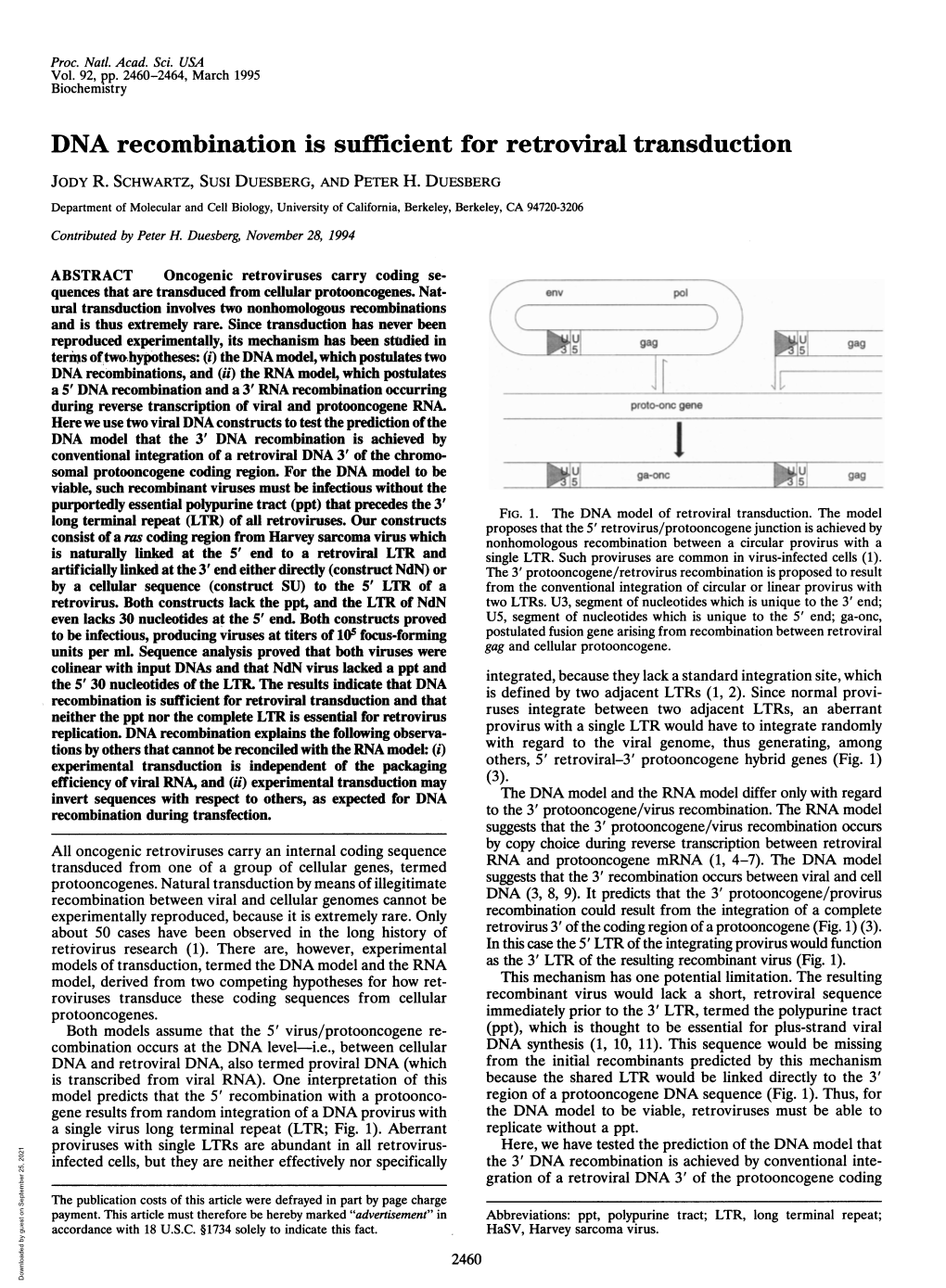 DNA Recombination Is Sufficient for Retroviral Transduction JODY R