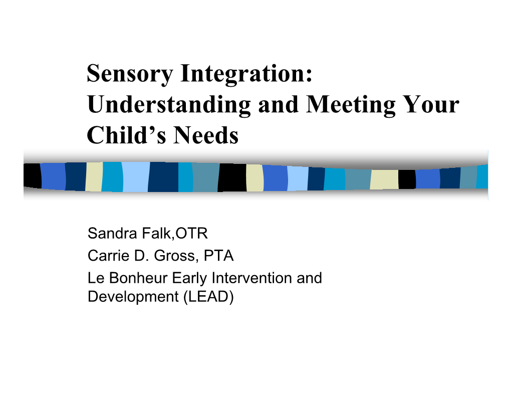 Sensory Integration: Understanding and Meeting Your Child’S Needs