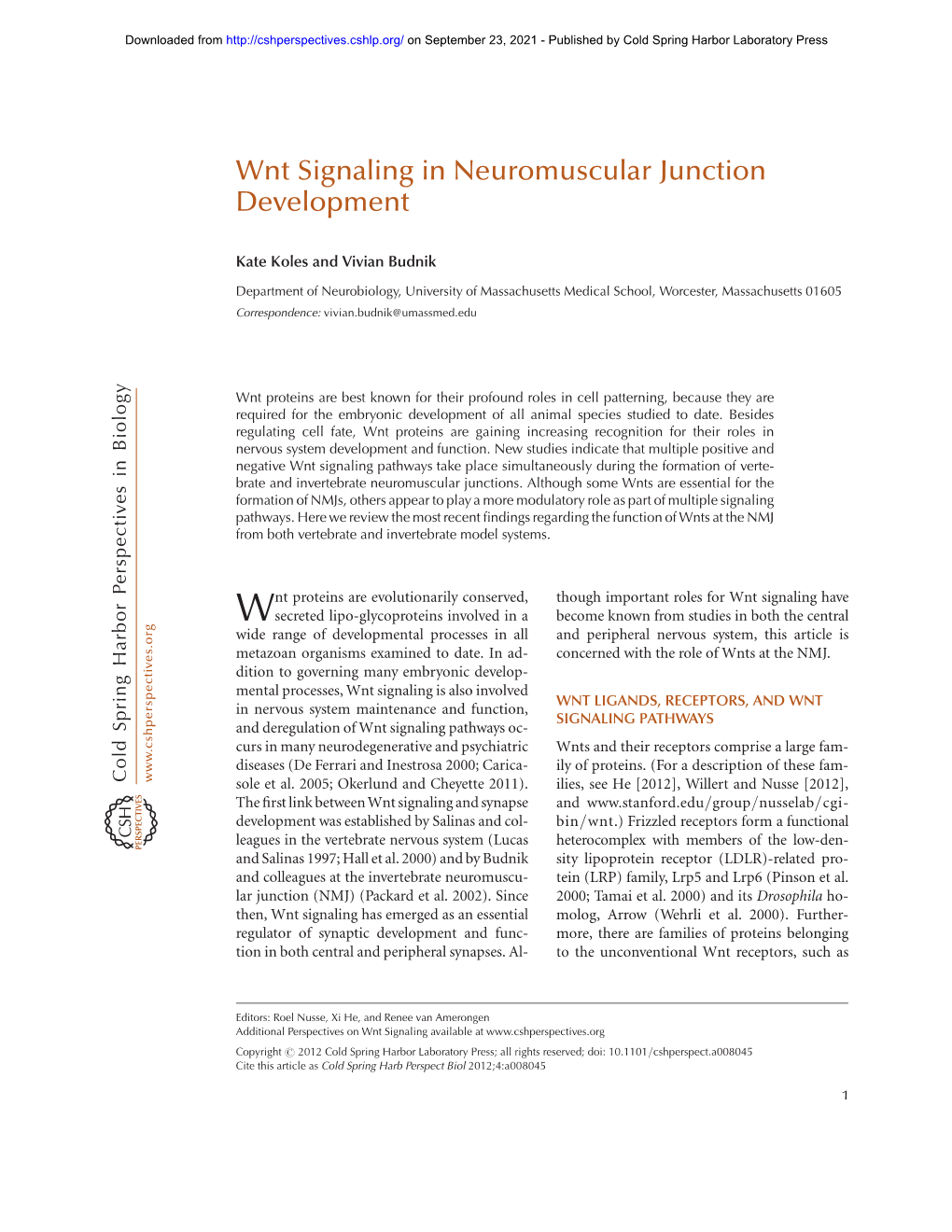 Wnt Signaling in Neuromuscular Junction Development