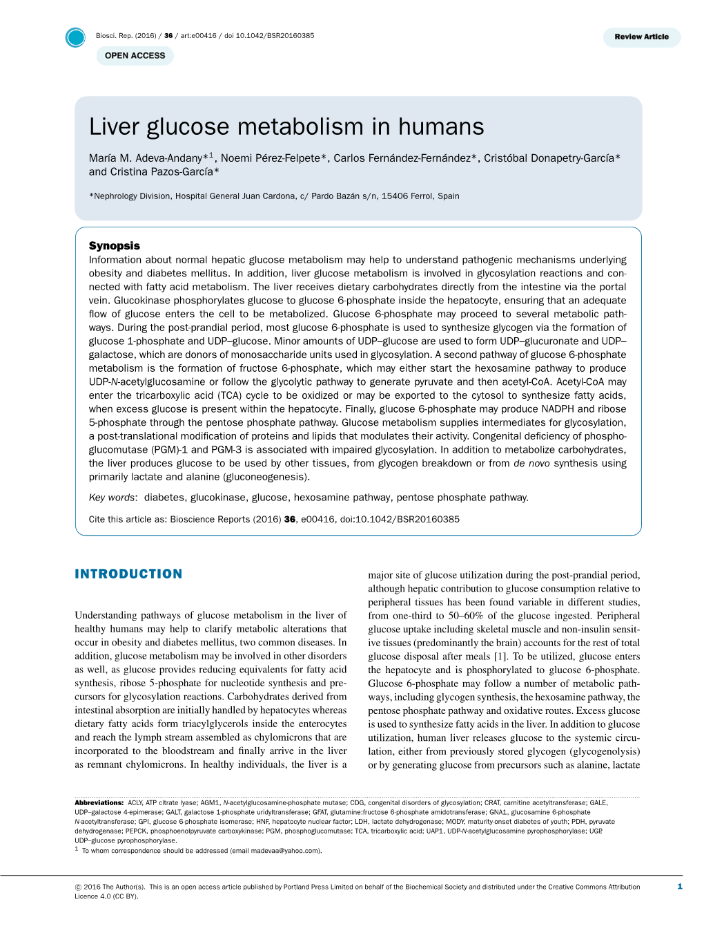 Liver Glucose Metabolism in Humans