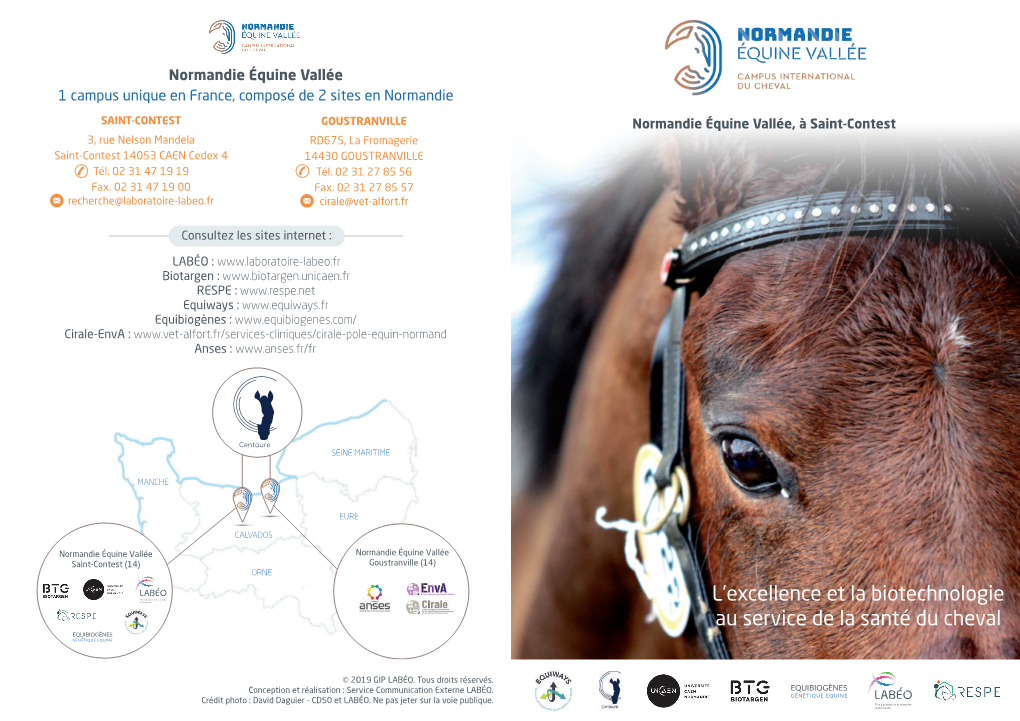 Flyer Normandie Equine Vallée-Saint Contest V3 Copie