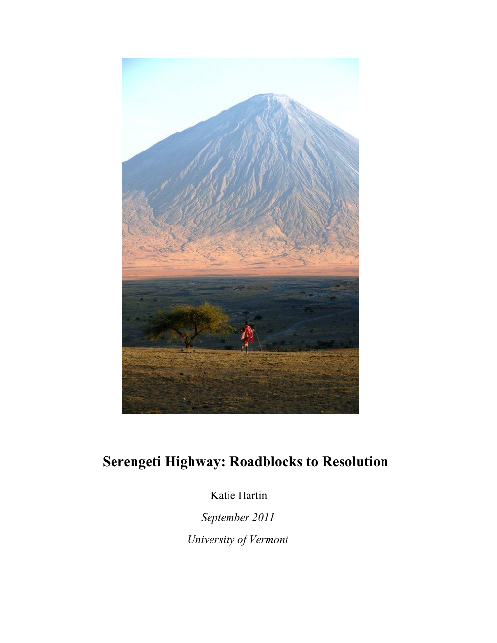 Serengeti Highway: Roadblocks to Resolution