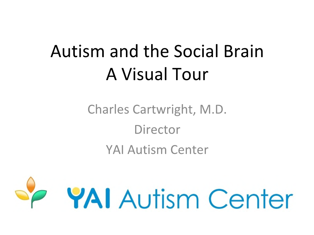 Autism and the Social Brain a Visual Tour