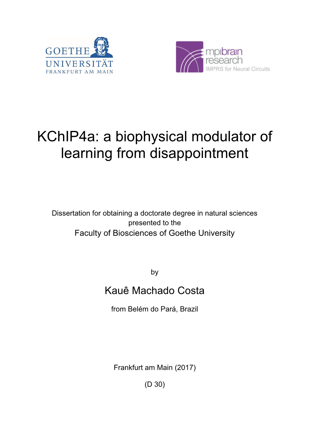 Kchip4a: a Biophysical Modulator of Learning from Disappointment