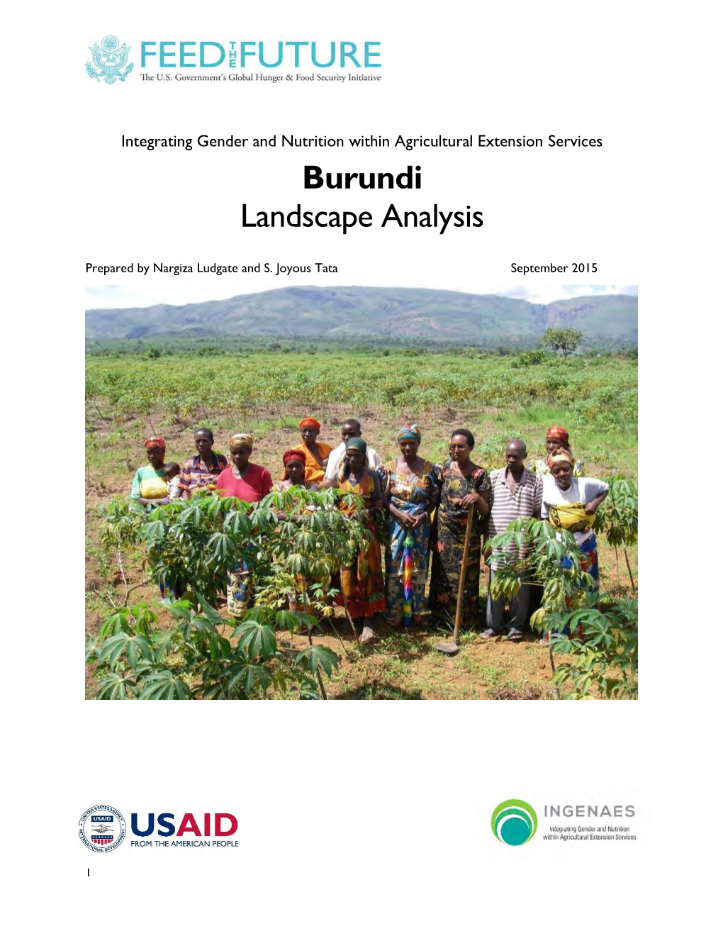 Burundi Landscape Analysis